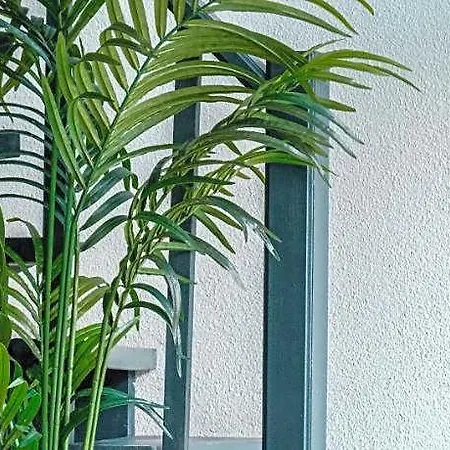 Villa Moonsa Boutique *